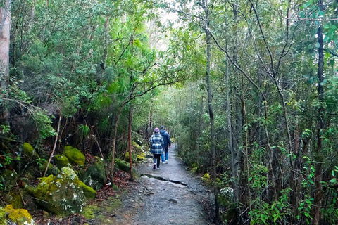 Kunanyi / Mt Wellington Explorer Bus - 2 Hour Return Tour - Restaurants Sydney 2