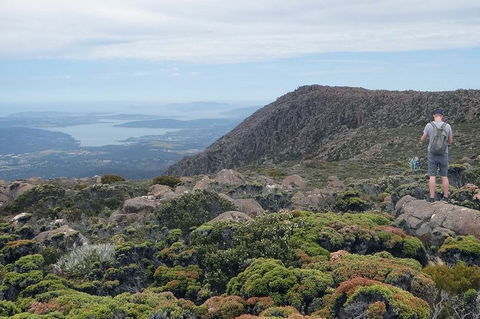 Kunanyi/Mt Wellington Explorer Bus - One Way Tour - Restaurants Sydney 0