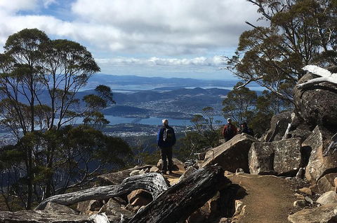 Kunanyi/Mt Wellington Explorer Bus - One Way Tour - Restaurants Sydney 2
