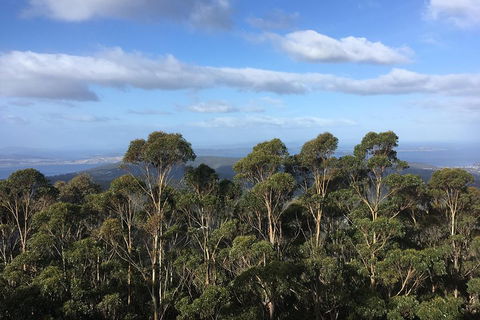 Kunanyi/Mt Wellington Explorer Bus - One Way Tour - Restaurants Sydney 5