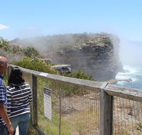 Sydney Shore Excursion Half-Day Sydney City Highlights with Bondi Beach and Watsons Bay - Restaurants Sydney