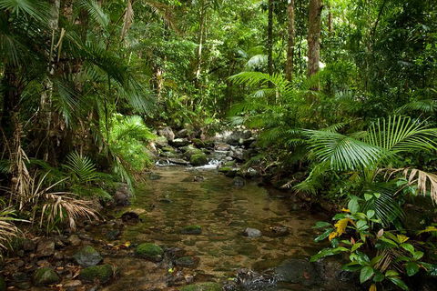 Cairns Reef And Rainforest Combo: Daintree Rainforest And The Great Barrier Reef - Restaurants Sydney 1