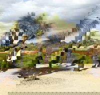 1 Day Exclusively Private Tour Of Phillip Island  The Penguin Parade - Restaurants Sydney