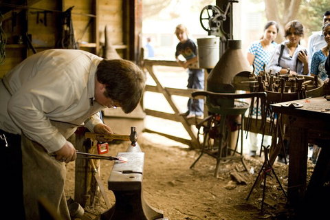 1 Day Exclusively Private Tour Of Phillip Island & The Penguin Parade - Restaurants Sydney 4