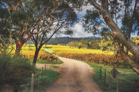 McLaren Vale Winery Small Group Tour With Wine Tasting And Lunch - Restaurants Sydney 1