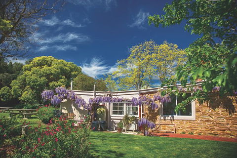McLaren Vale Winery Small Group Tour With Wine Tasting And Lunch - Restaurants Sydney 2
