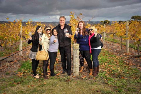 McLaren Vale Winery Small Group Tour With Wine Tasting And Lunch - Restaurants Sydney 3