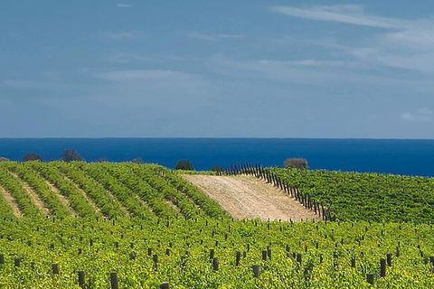 McLaren Vale Winery Small Group Tour With Wine Tasting And Lunch - Restaurants Sydney 4