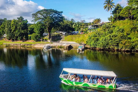 Full Day Tour In The Daintree - Restaurants Sydney 2