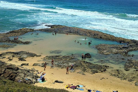 Pippies 3 Days 2 Nights Fraser Island Tour - Restaurants Sydney 5