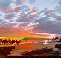 1 Hour Broome Sunset Camel Tour - Restaurants Sydney