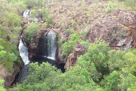 Litchfield National Park And Jumping Crocodile Cruise - Restaurants Sydney 4