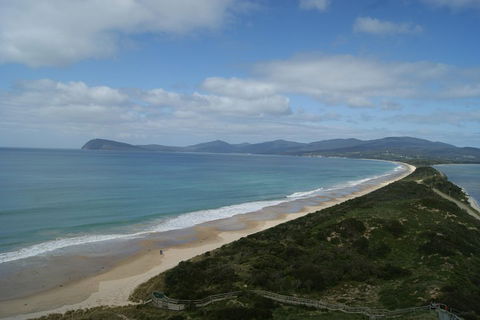 7-Day Best Of Tasmania Adventure Experience From Hobart (flexible Ticket) - Restaurants Sydney 2