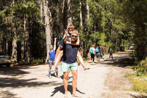 7-Day Best Of Tasmania Adventure Experience From Hobart (flexible Ticket) - Restaurants Sydney 5