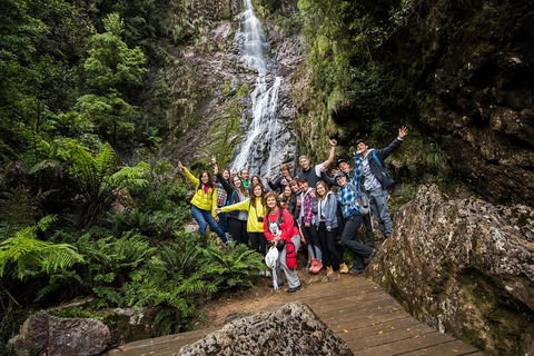 5-Day Lap Of Tasmania Tour From Hobart (flexible Ticket) - Restaurants Sydney 0