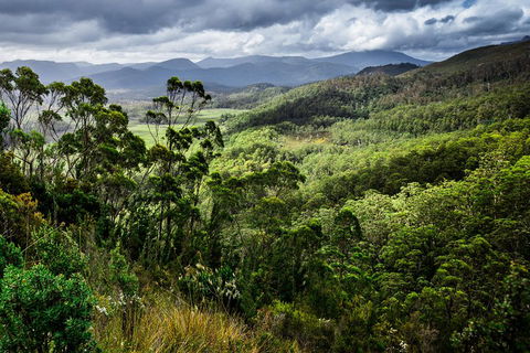 5-Day Lap Of Tasmania Tour From Hobart (flexible Ticket) - Restaurants Sydney 2