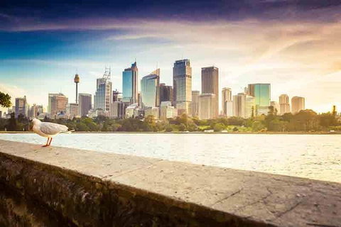 Private Sydney City And Bondi Beach Half Day Tour - Restaurants Sydney 2
