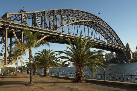 Private Sydney City And Bondi Beach Half Day Tour - Restaurants Sydney 4