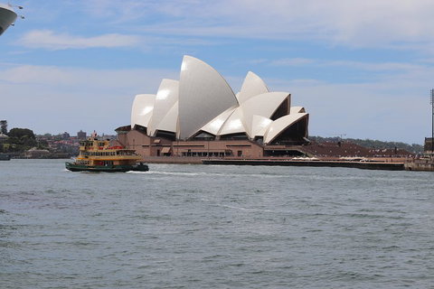 Private Sydney City And Bondi Beach Half Day Tour - Restaurants Sydney 5
