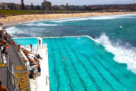 Private Sydney Half Day Tour Including Sydney Opera House And Bondi Beach - Restaurants Sydney 1