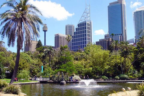 Private Sydney Half Day Tour Including Sydney Opera House And Bondi Beach - Restaurants Sydney 4