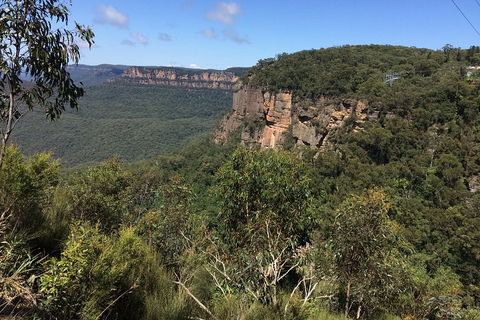Full-Day Private Blue Mountains Tour With River Cruise - Restaurants Sydney 1