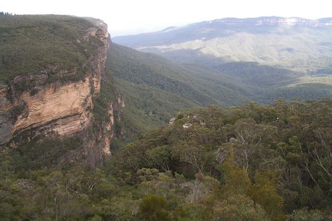 Full-Day Private Blue Mountains Tour With River Cruise - Restaurants Sydney 3