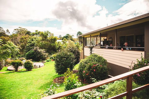 Full-day Springbrook National Park Tour From The Gold Coast - Restaurants Sydney 2