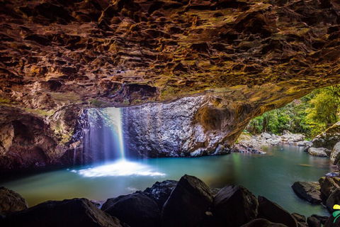 Full-day Springbrook National Park Tour From The Gold Coast - Restaurants Sydney 3