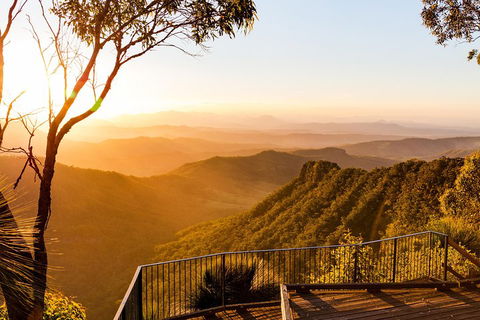 O'Reilly's & Lamington National Park Incl. Alpaca Farm + Vineyard - Restaurants Sydney 0