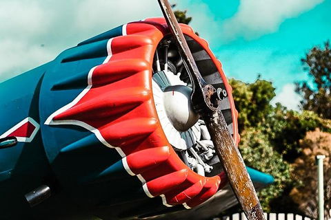 O'Reilly's & Lamington National Park Incl. Alpaca Farm + Vineyard - Restaurants Sydney 1