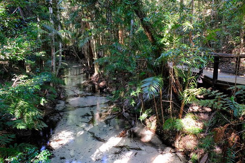 Fraser Island 4WD Tour From Rainbow Beach - Restaurants Sydney 0