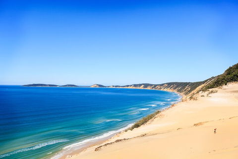 Kayak With Dolphins And 4WD Great Beach Drive Day Trip From Noosa - Restaurants Sydney 0