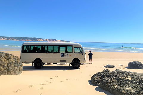 Kayak With Dolphins And 4WD Great Beach Drive Day Trip From Noosa - Restaurants Sydney 4