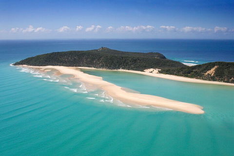 Kayak With Dolphins And 4WD Great Beach Drive Day Trip From Noosa - Restaurants Sydney 5