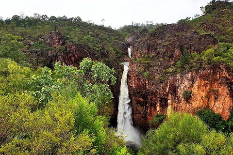 Ethical Adventures - Best In The WET - Litchfield / Kakadu 3 Day- Max 10 Guests - Restaurants Sydney 2
