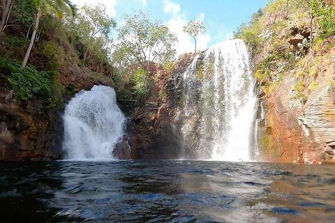 Ethical Adventures - Best In The WET - Litchfield / Kakadu 3 Day- Max 10 Guests - Restaurants Sydney 5