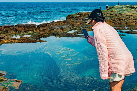 Sydney Private Tour Featuring Wilderness, Wildlife, Waves, Waterfalls And Wine - Restaurants Sydney 1