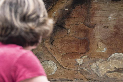 Sydney Private Tour Featuring Wilderness, Wildlife, Waves, Waterfalls And Wine - Restaurants Sydney 2