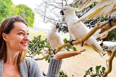 Sydney Private Tour Featuring Wilderness, Wildlife, Waves, Waterfalls And Wine - Restaurants Sydney 4