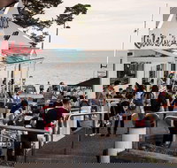 Phillip Island and French Island Wildlife Expedition - Restaurants Sydney