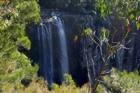 Byron Bay Hinterland Tour Including Rainforest Walk To Minyon Falls - Restaurants Sydney 0