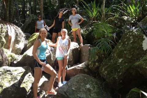 Byron Bay Hinterland Tour Including Rainforest Walk To Minyon Falls - Restaurants Sydney 3