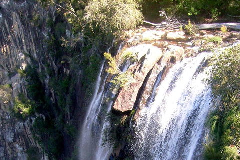 Byron Bay Combo: Hinterland Tour Including Minyon Falls And Kayaking With Dolphins - Restaurants Sydney 3