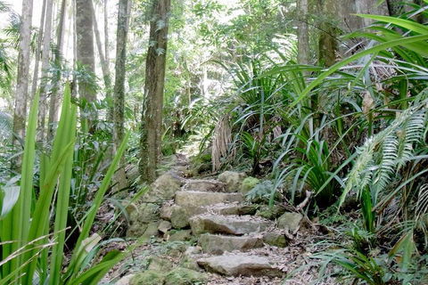 Byron Bay Combo: Hinterland Tour Including Minyon Falls And Kayaking With Dolphins - Restaurants Sydney 5