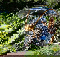 Adelaide 90-Minute Pedicab Tour Scenic Green  River Experience - Restaurants Sydney