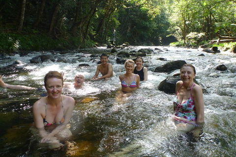 Daintree Rainforest, Cape Tribulation, Mossman Gorge Small-Group Day Tour - Restaurants Sydney 0