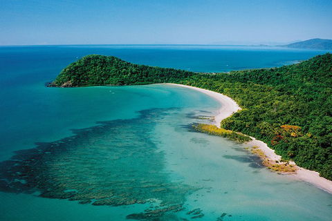 Daintree Rainforest, Cape Tribulation, Mossman Gorge Small-Group Day Tour - Restaurants Sydney 4