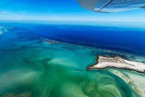 Wet Season Incredible Islands Tour - Horizontal Falls & Cygnet Bay Pearl Farm - Restaurants Sydney 4