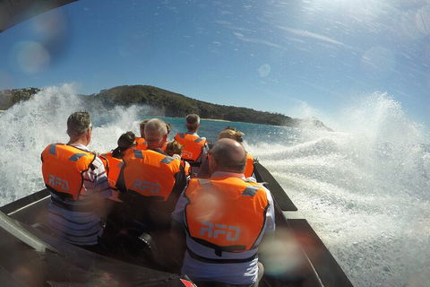 Noosa Thriller - 500hp Ocean Adventure Ride - Restaurants Sydney 3